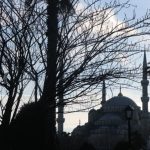 Fresh City, Turkiye